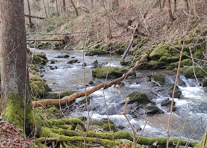 Ferienwohnung Auf Ehemaligem Muehlengrund