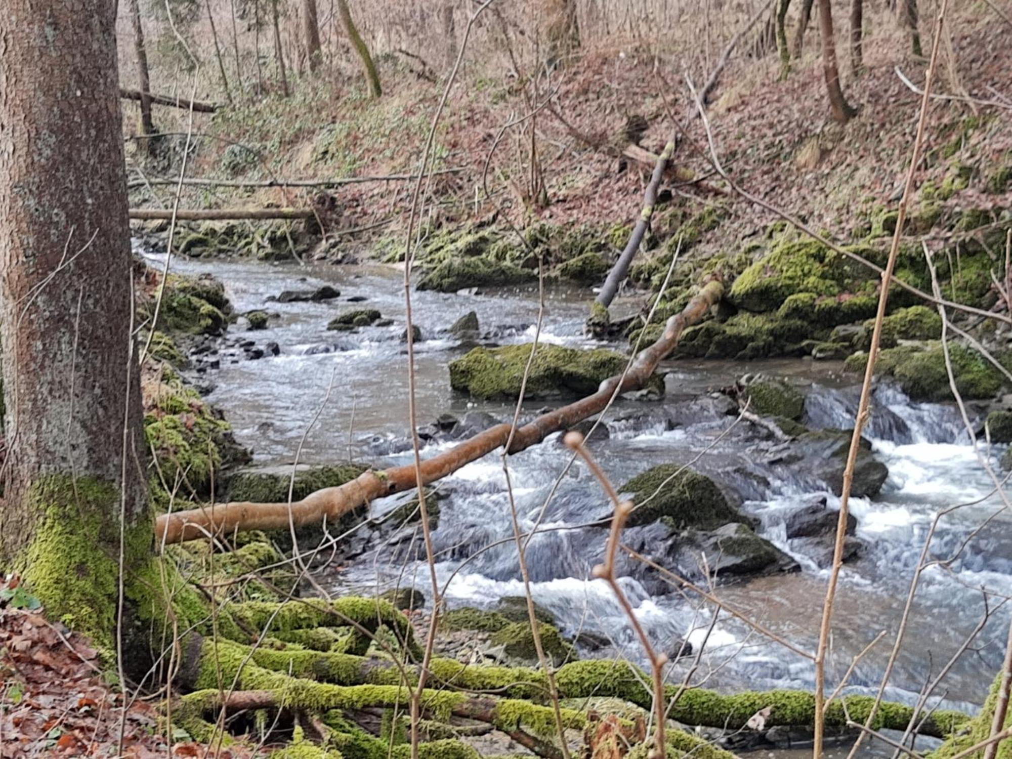 Auf Ehemaligem Muehlengrund *